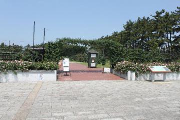 浜寺公園バラ園
